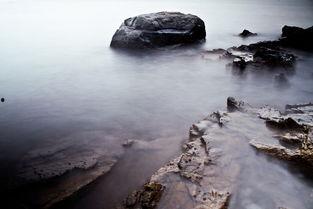 海角象,揭秘神秘海洋生物的传奇故事