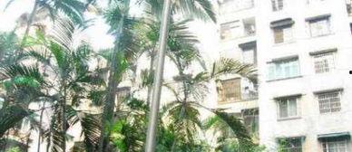 广州海角楼在哪里,探寻历史悠久的岭南建筑瑰宝